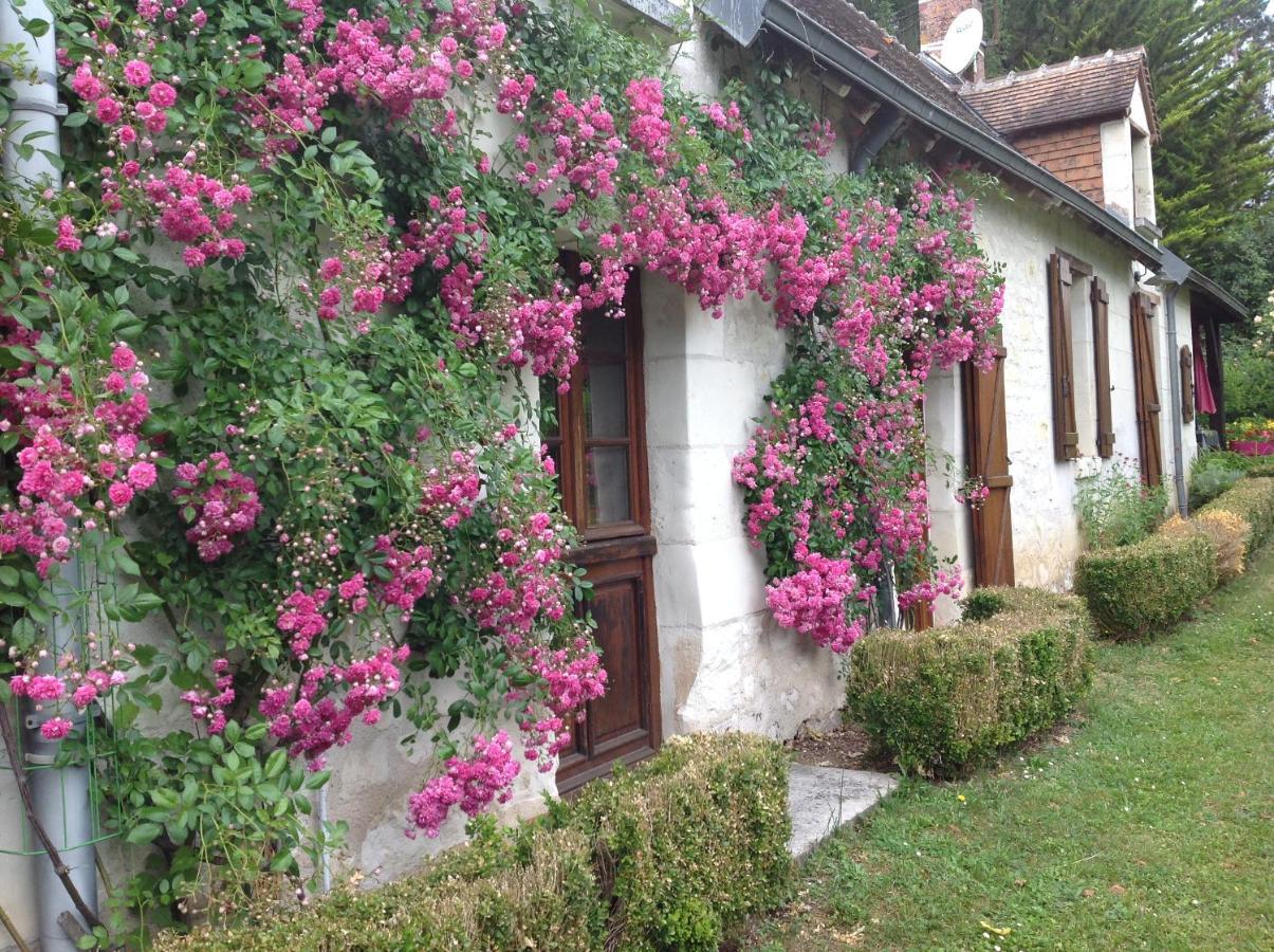 Gite O Beauval Saint-Aignan  Exteriér fotografie