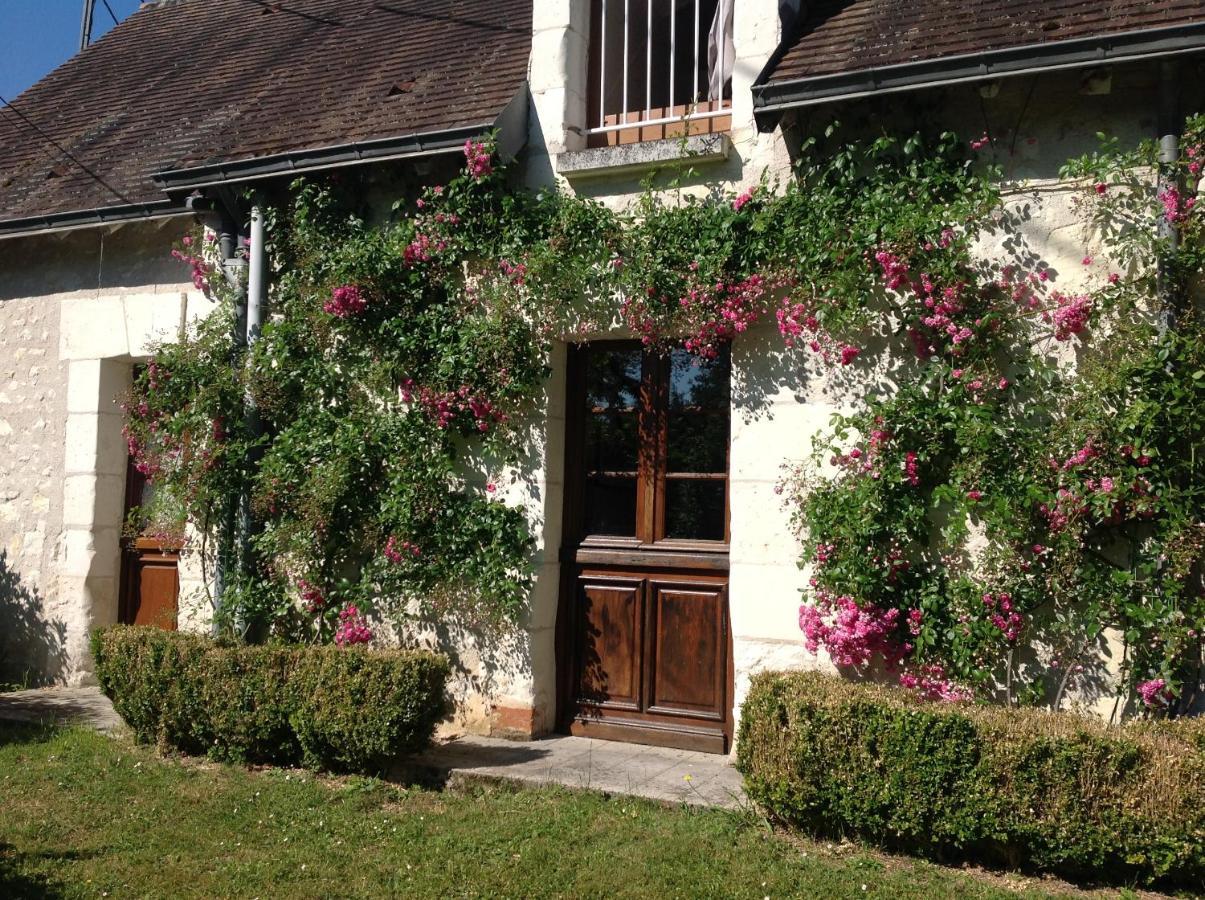 Gite O Beauval Saint-Aignan  Exteriér fotografie