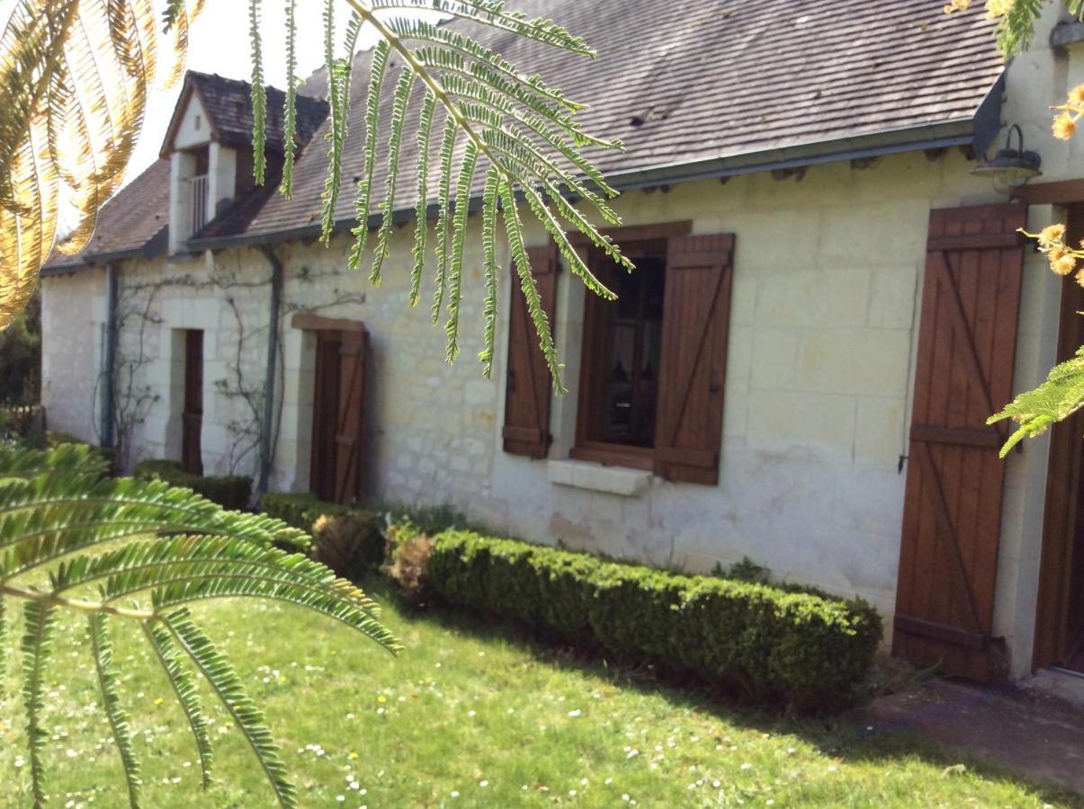 Gite O Beauval Saint-Aignan  Exteriér fotografie